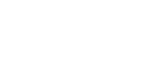 Dyn Air Logo